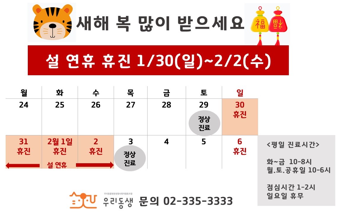 22년 설연휴 휴진-무료아이콘
